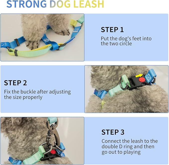 AIITLE No Pull Dog Harness & Leash & Collar - Adjustable Basic Collar with A Heavy Duty Leash - Super Sturdy Buckle and D Ring - Training Running for Large Dogs, Blue Gradient L