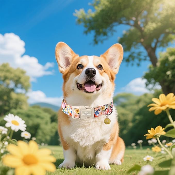 Unique style paws Dog Collar Plastic Buckle with Pendant Colorful Flower Puppy Collars for Small Medium Large Boys Girls Dogs