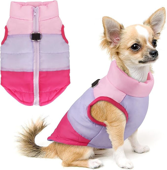Idepet Pet Dog Cat Coat with Leash Anchor Color Patchwork Padded Puppy Vest Jacket Teddy Chihuahua Costumes Pug Cloth XS S M L (X-Small (Pack of 1), Rose Red)