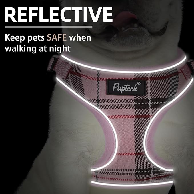 PUPTECK Soft Mesh Dog Harness and Leash Set Pet Puppy Cat Adjustable Reflective Padded Vest No Pull Harnesses, Pink, M