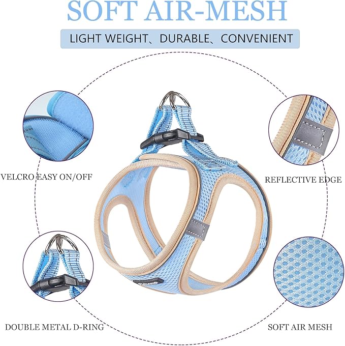 Puppy Harness and Leash Set, Step-in Small/Extra-Small Size with Soft Mesh and Reflective Bands, Blue