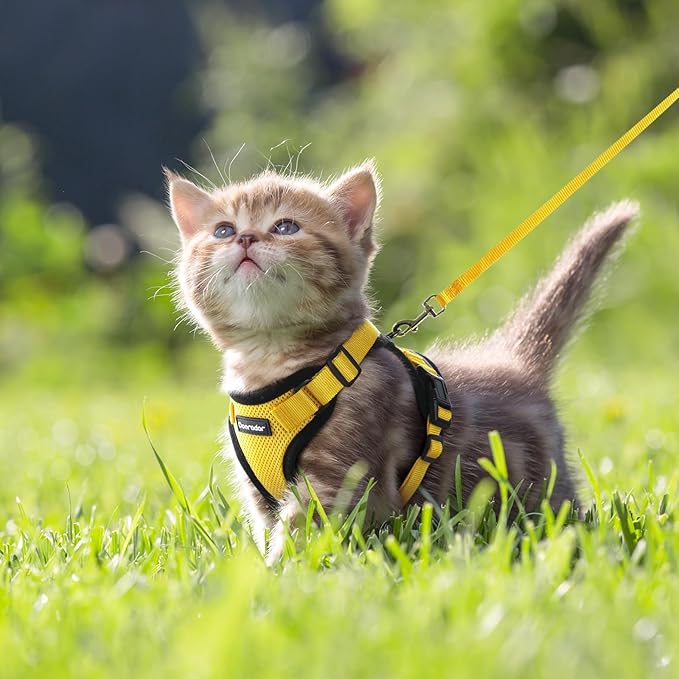 Dooradar Cat Harness and Leash Set, Escape Proof Safe Adjustable Kitten Vest Harnesses for Walking, Easy Control Soft Breathable Mesh Jacket with Reflective Strips for Cats, Yellow, XXS