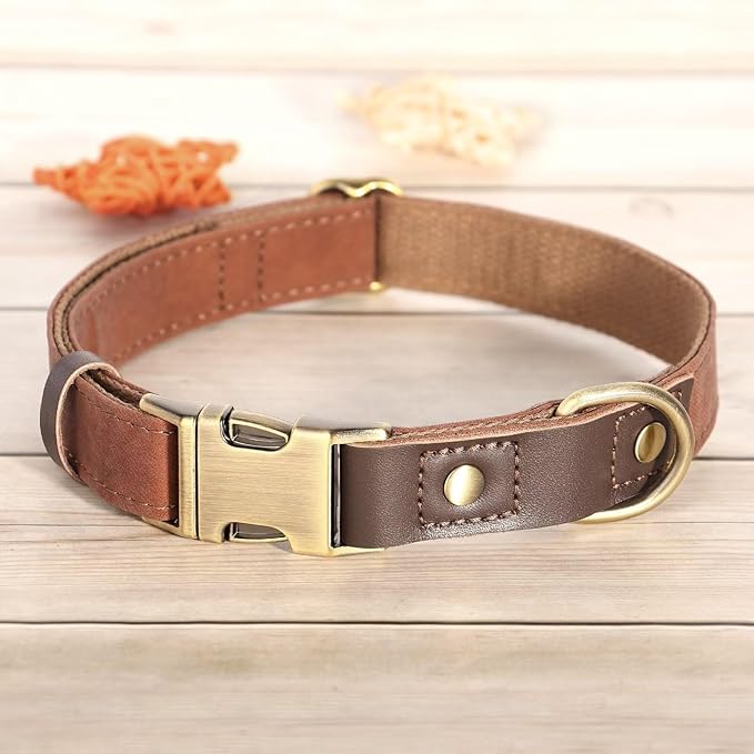 Didog Soft Padded Leather Dog Collars for Small Dogs, Classic Heavy Duty Dog Collar Adjustable with Quick Release Metal Buckle,Brown,S Neck 10-15"
