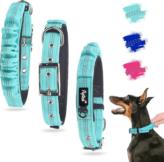 PUPTECK Heavy Duty Dog Collar with Handle Bungee for Small Medium Large Dogs, Tactical Dog Training Collar for Easy Control, Reflective Padded Dog Collars for Walking Running, Turquoise, M