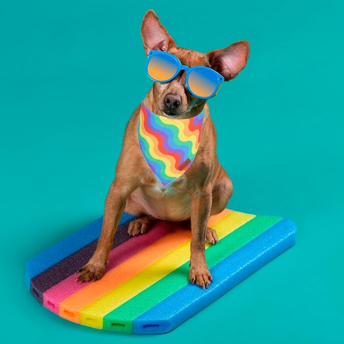 PTDECOR Rainbow Dog Bandanas Pride Day Dog Scarf Reversible Triangle LGBT+ Rainbow Bandanas for Medium Large Dogs Pets (Pride, Large)