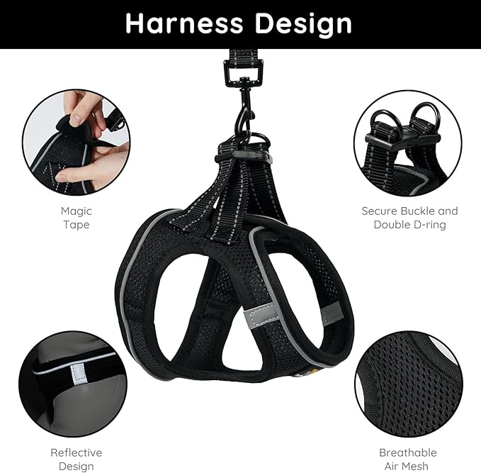 BELLA & PAL Puppy Harness with Leash Set, Dog Harness for Small Dogs No Pull, Dog Leash for Small Dogs, Step in Harness for Extra Small Dogs, Black Harness, M