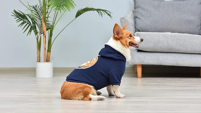 Star Wars for Pets The Mandalorian Hoodie for Dogs, “The Child” Design with Leash Attachment Hole, Extra Small | Star Wars Apparel for Dogs | Cozy Hooded GROGU Sweatshirt for Dogs