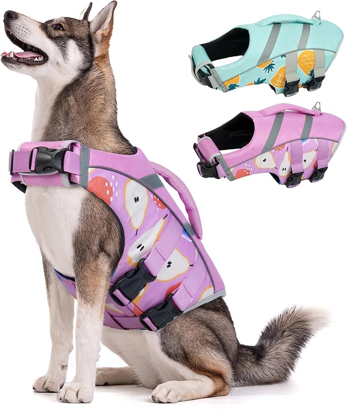 Kuoser Dog Life Jacket with Reflective Stripes, Puppy Water Vest for Swimming Boating, Adjustable High Visibility Dog PFD Vest with High Flotation Swimsuit, Pear XXL