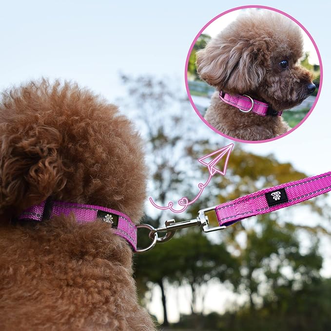 NESTROAD Reflective Dog Collar and Leash Set,Soft Neoprene Pet Collar with Quick Release Buckle,Adjustable Nylon Dog Collars for Small Medium Large Dogs(Small Collar + 5FT Leash,Fuchsia Pink)