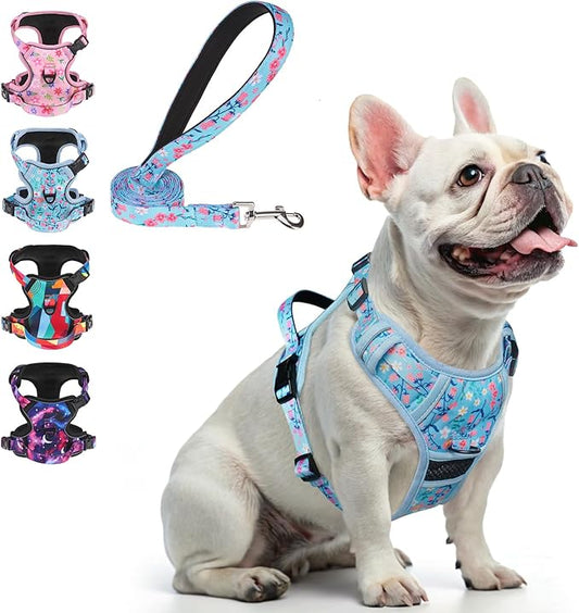 BEAUTYZOO No Pull Dog Harness Small, Adjustable Dog Harness and Leash Set -Easy Wearing with 3 Buckles/Control Handle,No Choke Soft Padded Reflective Pet Vest for Training Walking Hiking,Blue S