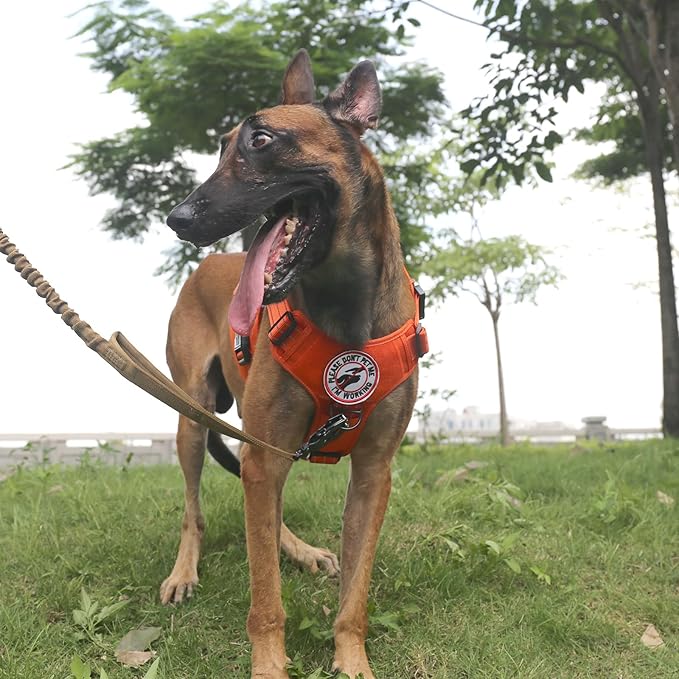 ICEFANG Tactical Dog Harness,X-Large Size, 2X Metal Buckle,Working Dog MOLLE Vest with Handle,No Pulling Front Leash Clip,Hook and Loop Panel