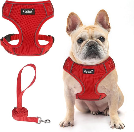 PUPTECK Dog Harness and Leash Set for Small Medium Dogs No Pull, Soft Mesh Adjustable Puppy Cat Harness Reflective at Night, Red XS