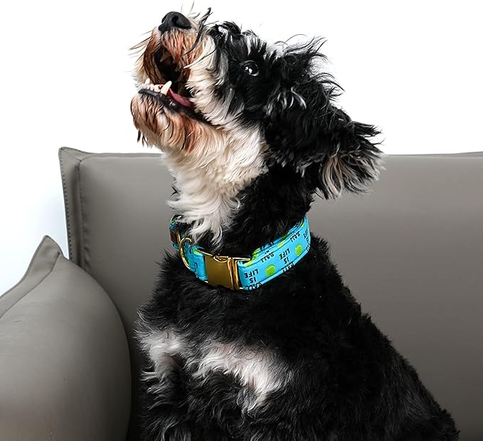 Lionet Paws Dog Collar, Comfortable Adjustable Cute Collar with Metal Buckle for Male Female Dogs, Tennis Ball Pattern, Small, Neck 10-16 inches