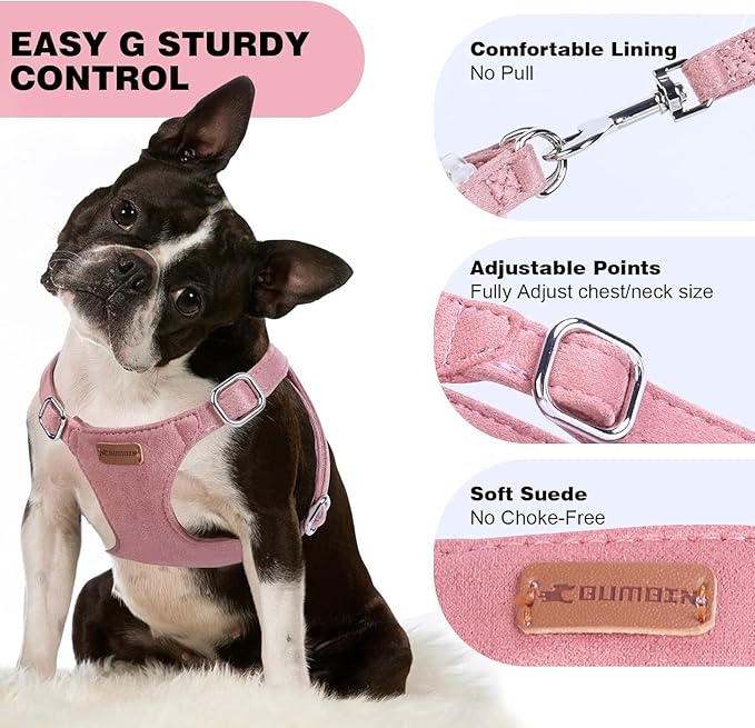 Dog Harness and Leash Set, XXS No Pull Adjustable Puppy Harness with Multifunction Pink Dog Leash and Dog Collar, Soft No Choke Escape Proof Pet Harness Vest for Small Dogs and Cats (Red, M)
