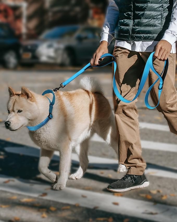 FunTags Reflective Martingale Collar for Dogs, Quick Release Buckle, 5FT Double Handle Dog Leash Padded, Dog Collar and Leash Set, Adjustable for Medium Dogs (Sky Blue, M)