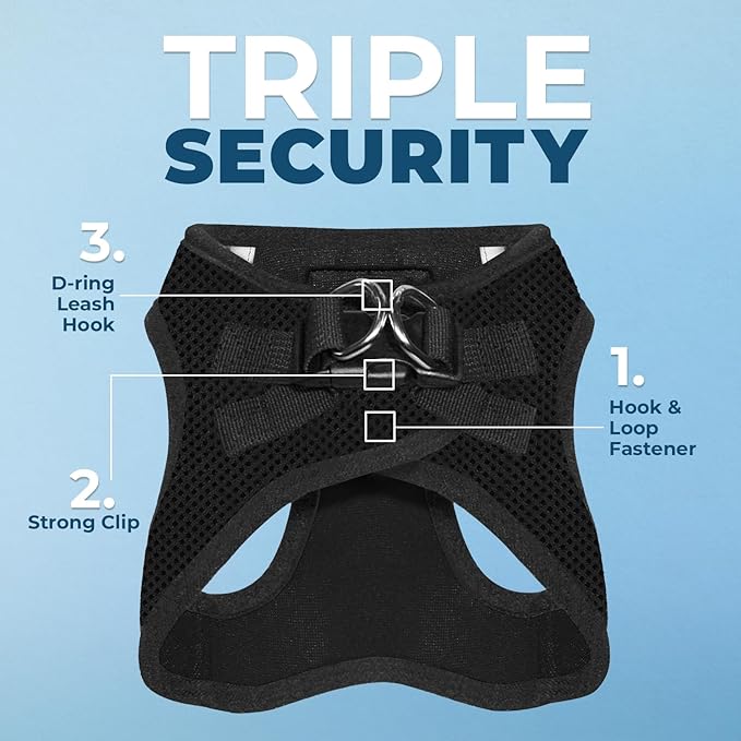 Voyager Step-in Air All Weather Mesh Harness and Reflective Dog 5 ft Leash Combo with Neoprene Handle, for Small, Medium and Large Breed Puppies by Best Pet Supplies - Set (Black), M