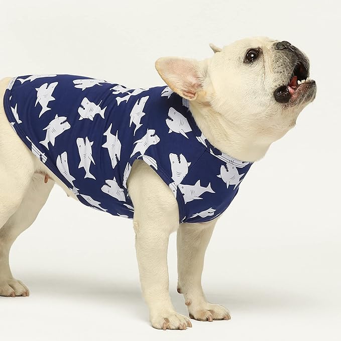 Fitwarm 3 Pack Shark Dog Shirt, Summer Dog Clothes for Small Dogs Boy Girl, Lightweight Pet Tshirt, Cat Outfit, Light Blue, Navy Blue, Royal Blue, Medium