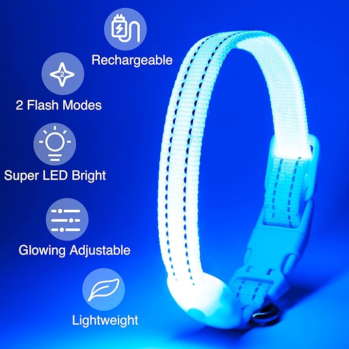 Light Up Dog Collar at Night, Led Dog Collar Adjustable, Lighted Dog Collar Rechargeable Waterproof, Dog Lights for Night Walking, Glow in The Dark Dog Collars Light for Small Pet (S, Blue)
