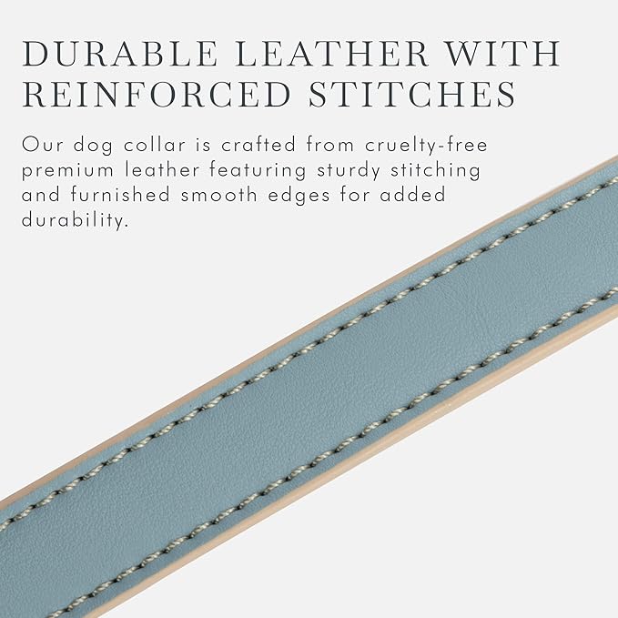 Cupertino Dog Collars, Harnesses & Leashes Made from Vegan Leather with Dog Tracker Device Holder Adjustable Dog Collar (Small, Blue)