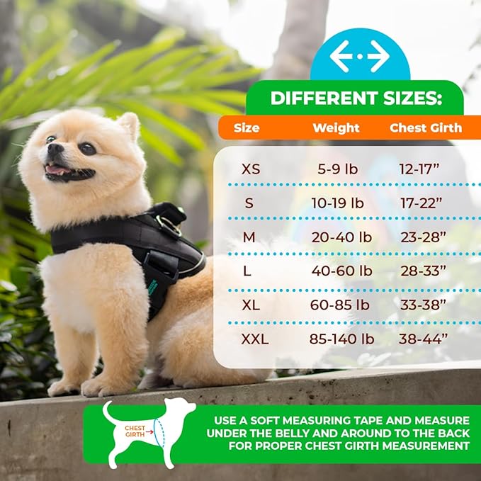 Joyride Harness LED Light Up Dog Harness 2.0 - Patent Pending Design, 3 LED Modes, Vibrant Rechargeable Lighting, Customizable Name Tag Area, and Convenient On/Off Button for Enhanced Pet Safety