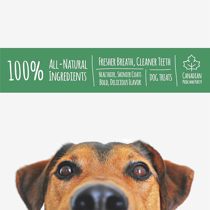 Pig Ears Dog Treats (32-Pack) Natural, Healthy Training Snack | Meaty Protein, Oven-Baked Flavor | Promote Dental Health | Made in Canada