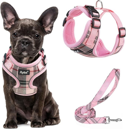 PUPTECK Soft Mesh Dog Harness and Leash Set Pet Puppy Cat Adjustable Reflective Padded Vest No Pull Harnesses, Pink, S