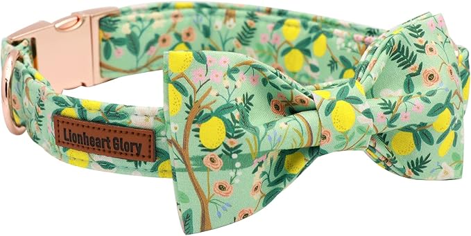 Lionheart glory Premium Floral Dog Collars, Bowtie Dog Collar, Adjustable Heavy Duty Girl Dog Collar with Bow for Large Dogs