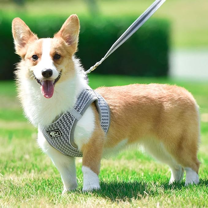 Dog and Cat Universal Harness with Leash - Cat Harness Escape Proof - Adjustable Reflective Step in Dog Harness for Small Dogs Medium Dogs - Soft Mesh Comfort Fit No Pull No Choke (S, Grey)