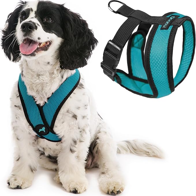 Gooby Comfort X Head-in Harness – Medium Dog Harness (9–15 lbs), Turquoise, No Pull, Choke-Free Design