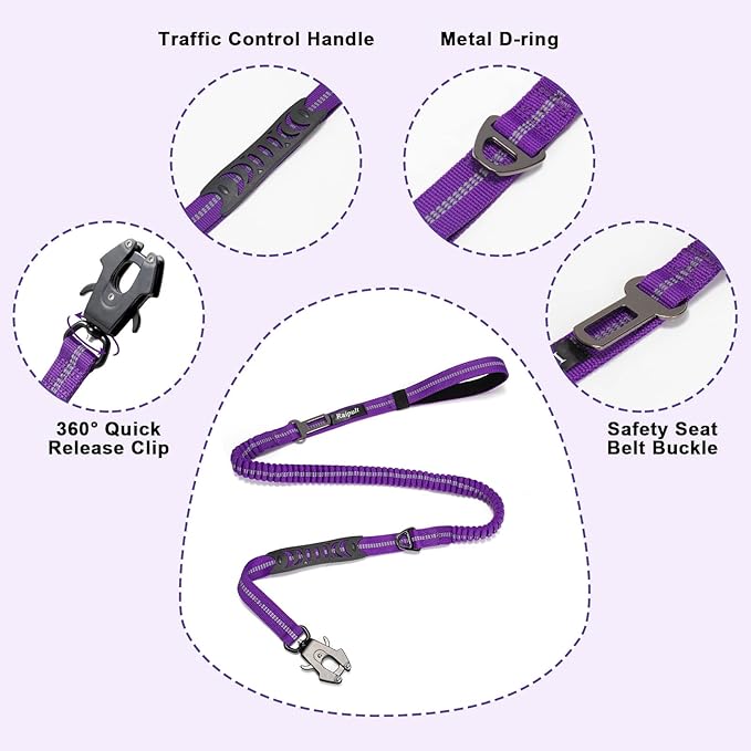 Raipult Shock Absorbing Tactical Dog Leash, 4-6FT Heavy Duty Bungee Leash, Anti-Pull Elastic Training Lead with Car Seatbelt & 2 Handles for Medium Large Dogs,Purple