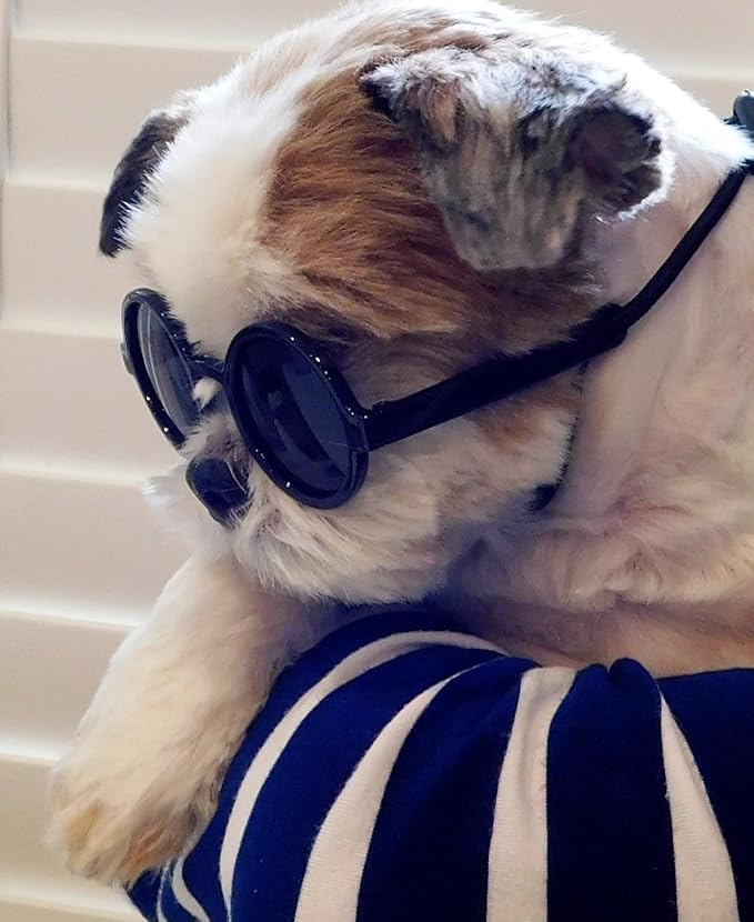 G016 Dog Cat Pet Round Sunglasses Goggles for Small Breed Dogs up to 15lbs (2-Pack Black +White)