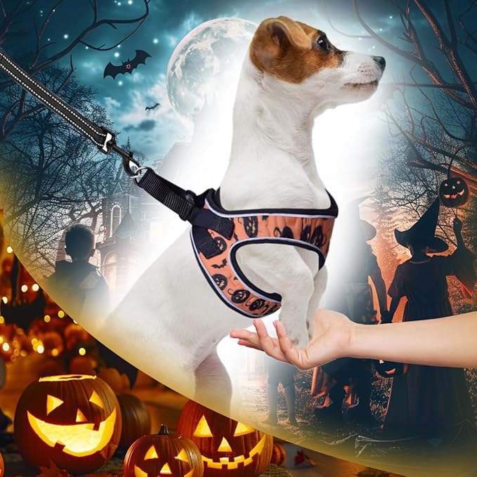 Comfort fit Step-in Halloween Dog & Puppy Harness - Comfortable All Weather Dog Vest Harness: Adjustable, Soft Padded, Easy to Put-on for Small, Medium-Sized Dogs.