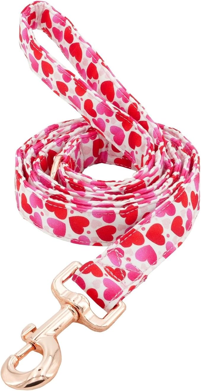 Tunkoo Valentine's Day Dog Leash with Metal Buckle - Durable, Stylish, and Perfectly Sized for Fall Season Daily Walking L