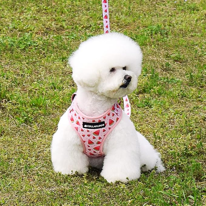 Dog Harness and Leash Set, Adjustable Dog Harness, Dog Leash, No Pull No Choke Puppy Harnesses for Walking Training for Small, Medium, Large Pet