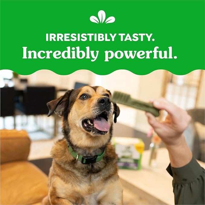 Greenies Large Dental Dog Treats, 3-Flavor Variety Pack, (3) 12 oz. Pouches, 24 Total Treats