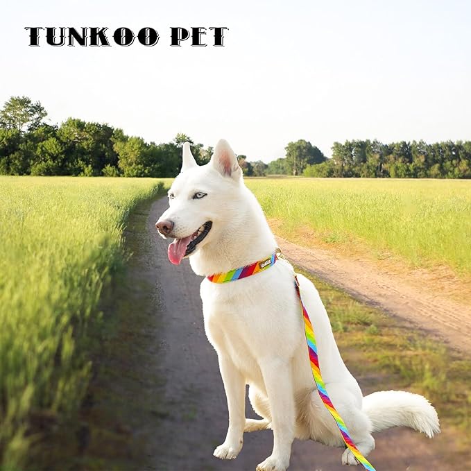 Tunkoo Rainbow Dog Collar, Cute Adjustable Striped Collar for LGBT Pride Month, Dog Collar with Strong Plastic Buckle - for Small Medium Large Pets, L