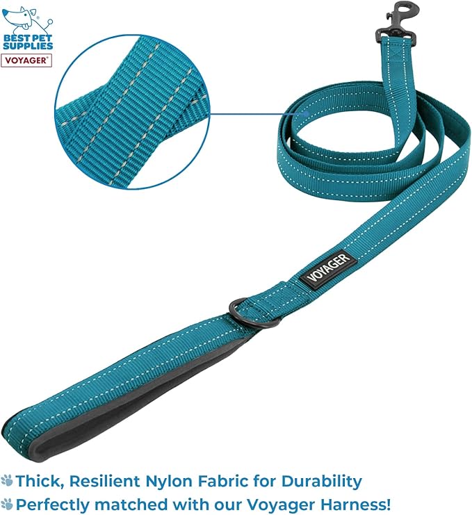 Voyager Step-in Air All Weather Mesh Harness and Reflective Dog 5 ft Leash Combo with Neoprene Handle, for Small, Medium and Large Breed Puppies by Best Pet Supplies - Leash Harness (Turquoise), XS