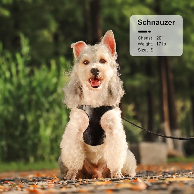 Didog Small Dog Harness and Leash Set, Soft & Lightweight Dog Vest Harness, Adjustable Leather Dog Harness for Small Dogs, Black, S