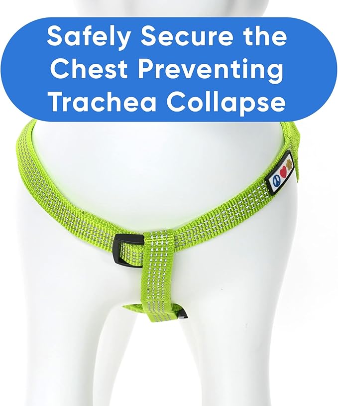 Pawtitas Medium Dog Harness - Adjustable, Reflective, Step-in Vest for Senior Dogs and Puppies - Green, Size S