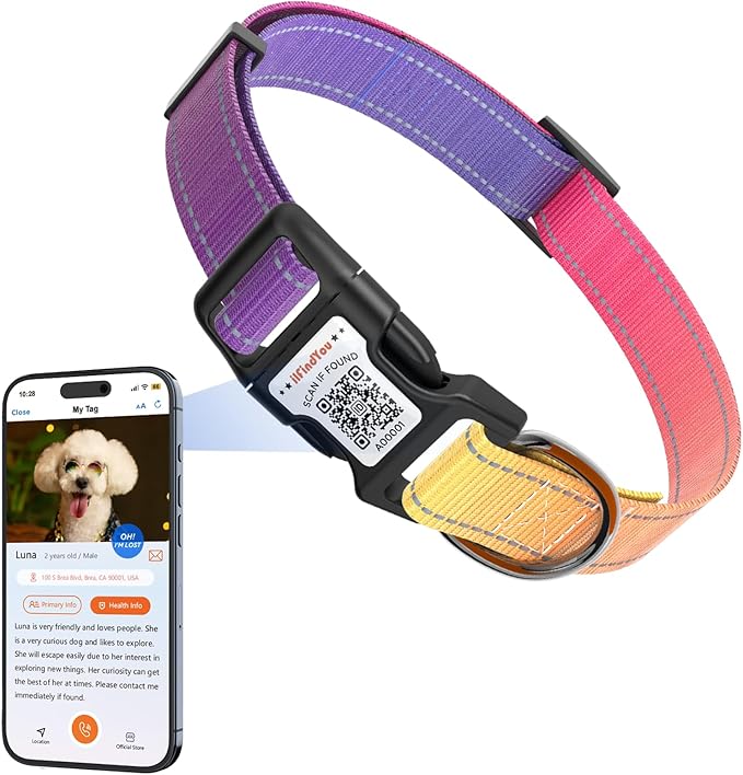 Reflective Dog Collars for Medium Dogs Soft Nylon Purple-Yellow Gradient Sized M