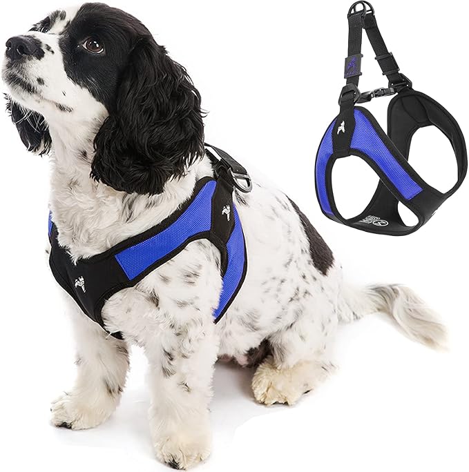 Gooby Escape Free Easy Fit Harness - Blue, Small - No Pull Step-in Patented Small Dog Harness with Quick Release Buckle - Perfect On The Go No Pull Harness for Small Dogs or Medium Dog Harness