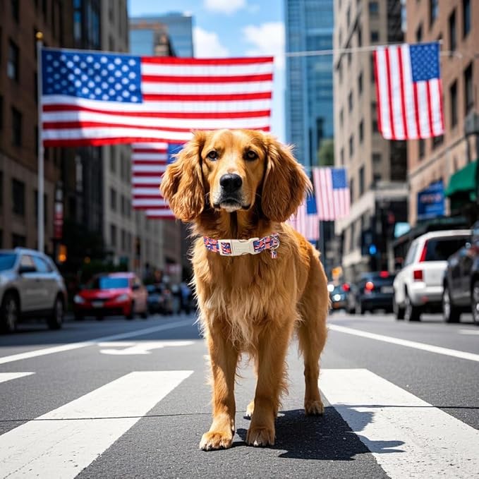 Lionet Paws 4th of July Dog Collar- Cute America Flag Pattern Dog Collars with Plastic Buckle and Flag Pendant, Light Adjustable Dog Collars for Small Medium Dogs