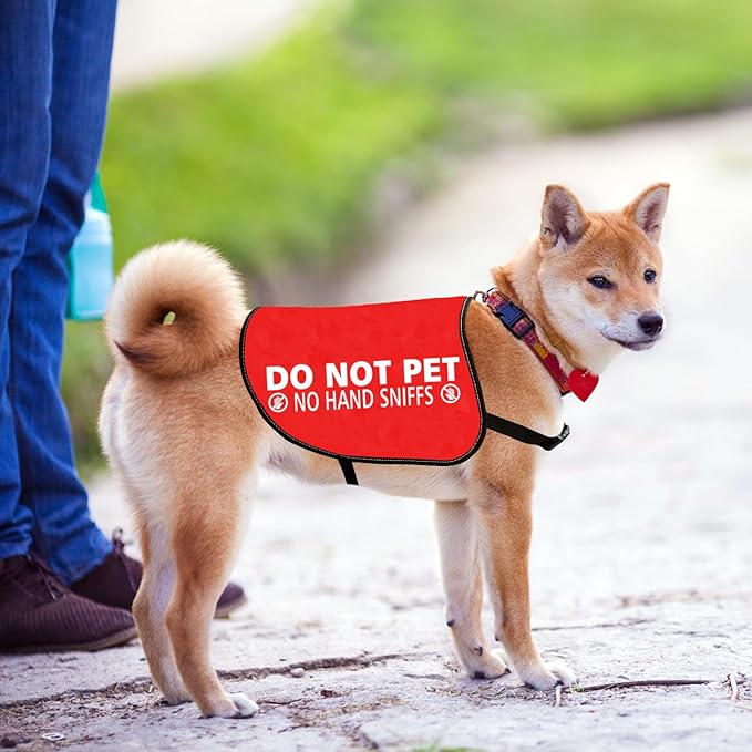 JXGZSO Nervous Anxious Dog Slogan Warning Vest Do Not Pet No Hand Sniffs Dog Jacket Vest (No Hand Sniffs L)