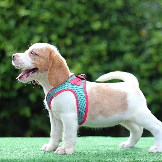 PHOEPET Step-in Dog Harness,Reflective Adjustable Dog Vest Harness, Soft Pet Walking Jacket with 2 Metal Leash Hooks for Dog and Cat(Mint Green Base & Pink Straps,S)