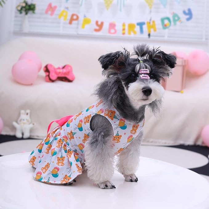 CuteBone Dog Mesh Dress Puppy Sundress Pet Outfit Summer Fashion for Small Dogs Girl Cat Clothes BF40XS