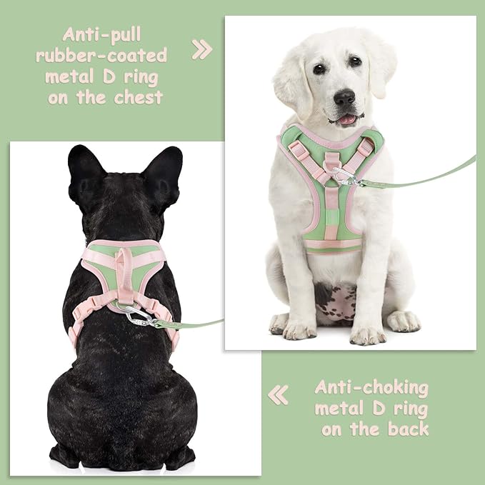 No Pull Dog Harness Adjustable Soft Padded Pet Vest with Control Handle Adorable Daily Harness for Dogs（Mint Green XS）