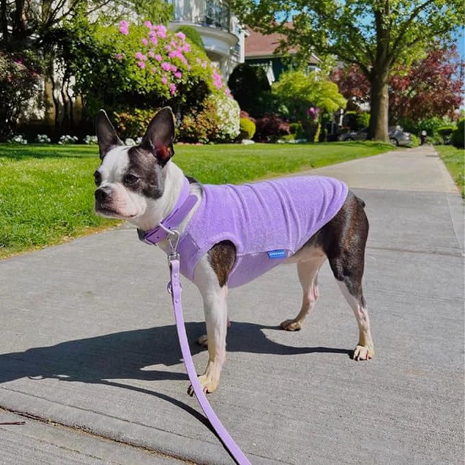 Little Beast Dog Clothes - Pet Clothes for Large, Medium, and Small Dogs (Dog Shirts Come in Multiple Colors and Styles) - Size: X-Small Dogs, Purple