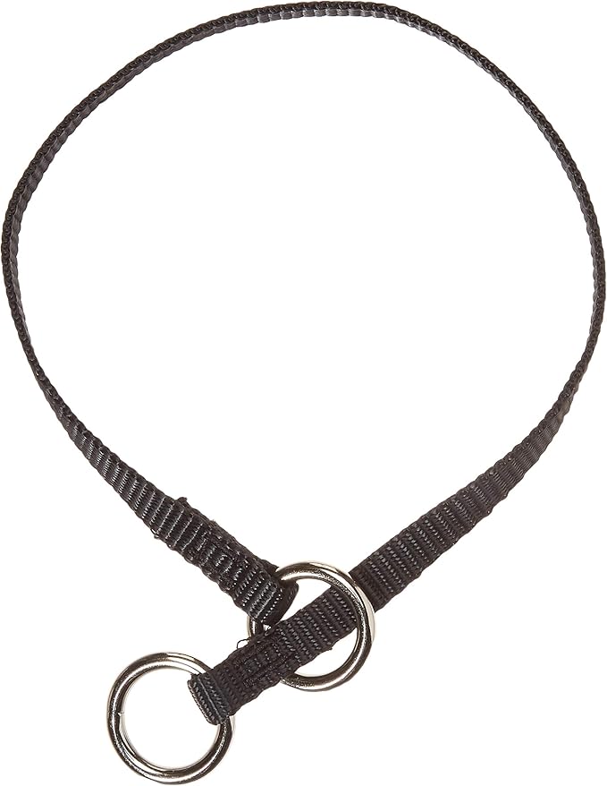 Starmark Small Pro Training Pinch Collar