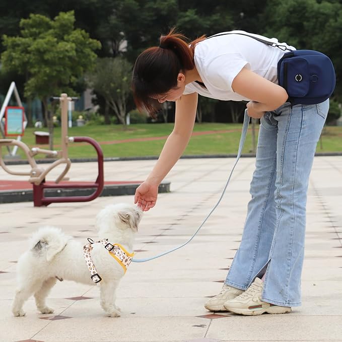 Dog Cat Harness and Leash Set, Puppia Soft Mesh Padded and Adjustable Puppy Vest Cute Dog Clothes Escape Proof Easy Walk Pet Accessories (Honeybee, L (Neck 15.7"-21"; Chest 19.6"-28.3"))