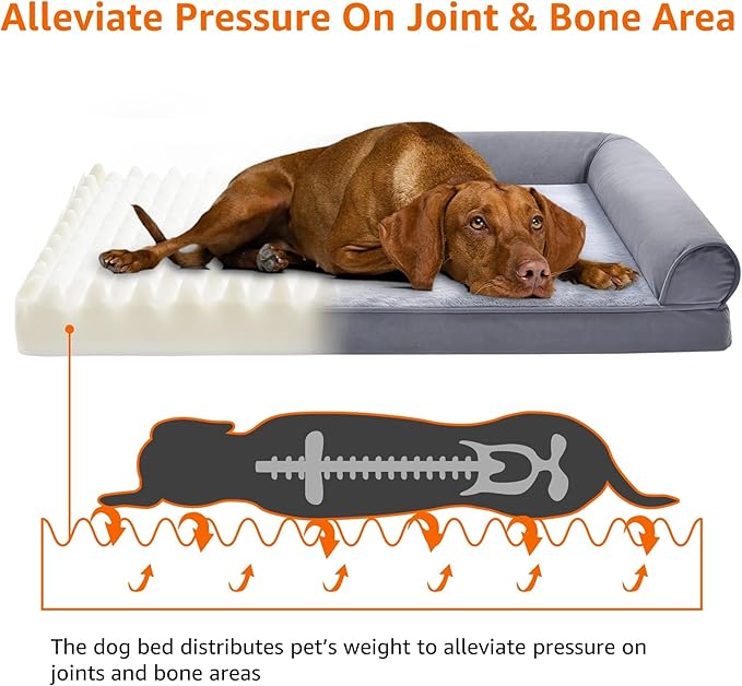 Amazon Basics Foam Living Room Couch Dog Pet Bed with Removable Cover, Grey, 30" x 20"